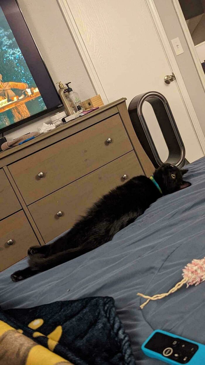 One Month Since Adoption Day And I’m In Love 🥰