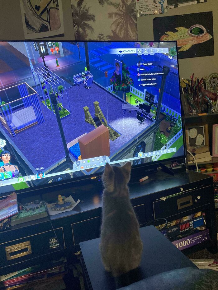 My Newly Adopted Friend Likes Watching Me Play! :)