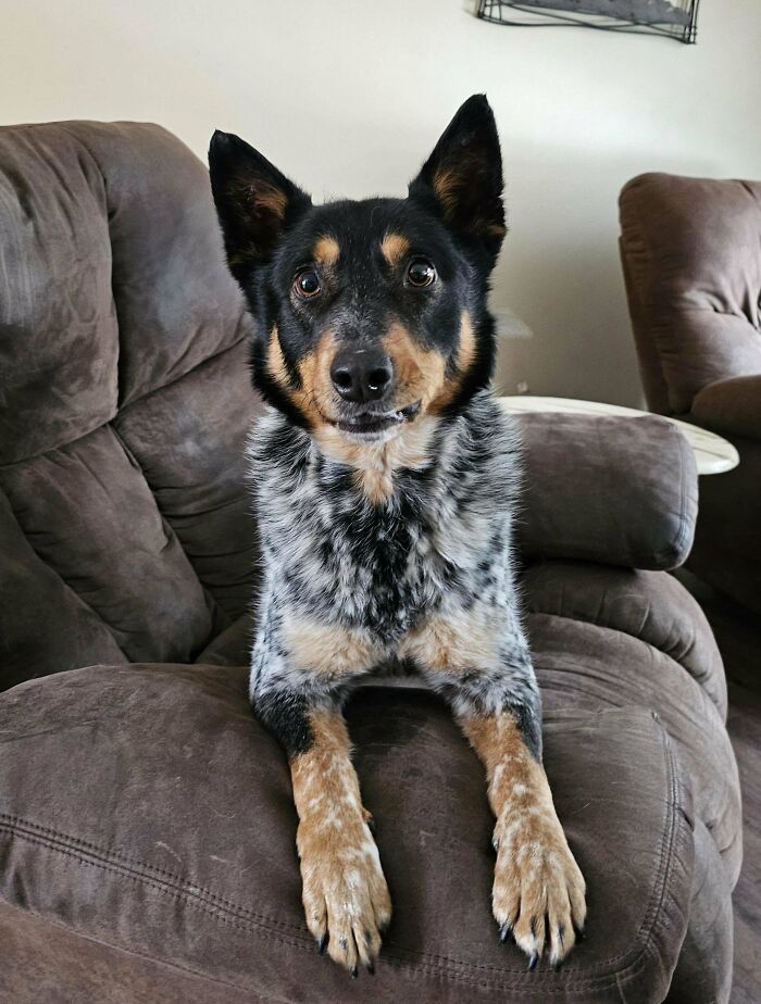 Poor Guy Got Dumped In Snow Storm