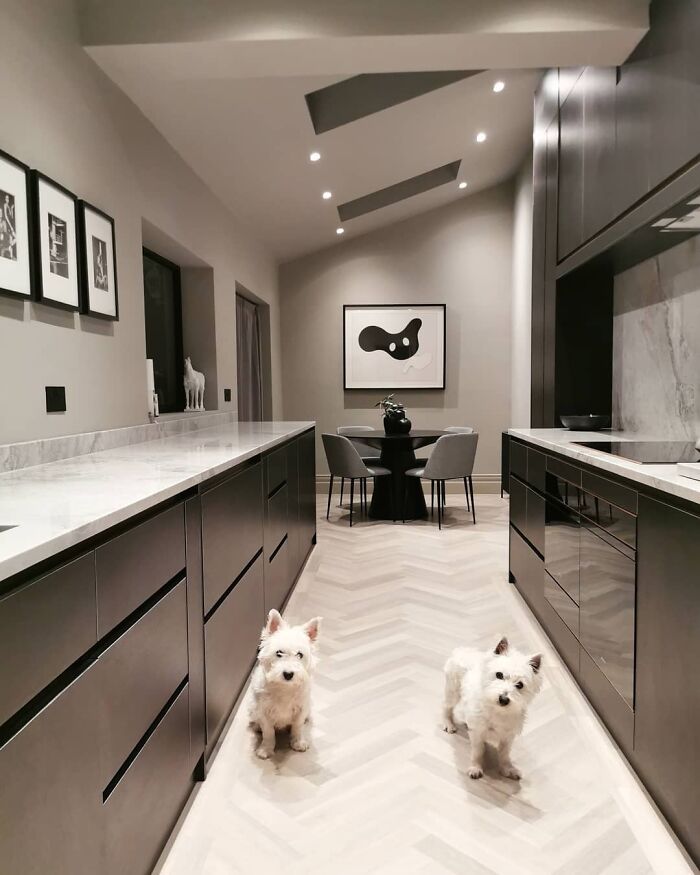 Modern galley kitchen with sleek black cabinets, marble countertops, and two small white dogs on light herringbone floor.