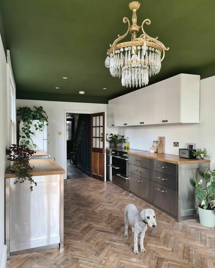Modern galley kitchen design with green ceiling, wooden countertops, stainless steel cabinets, plants, and a dog on herringbone floor.