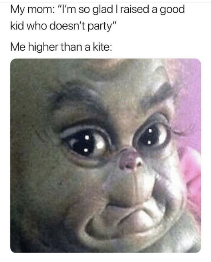 Absolutely-Not-Me-Irl-Memes-Posts