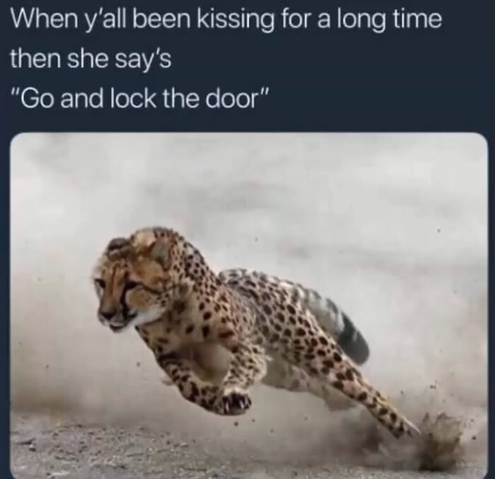 Absolutely-Not-Me-Irl-Memes-Posts