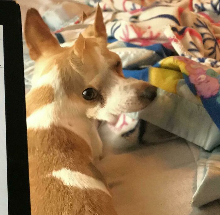 He’s Got His Eye On You 👁