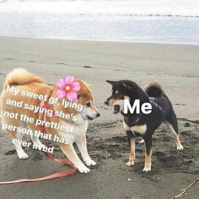 Absolutely-Not-Me-Irl-Memes-Posts