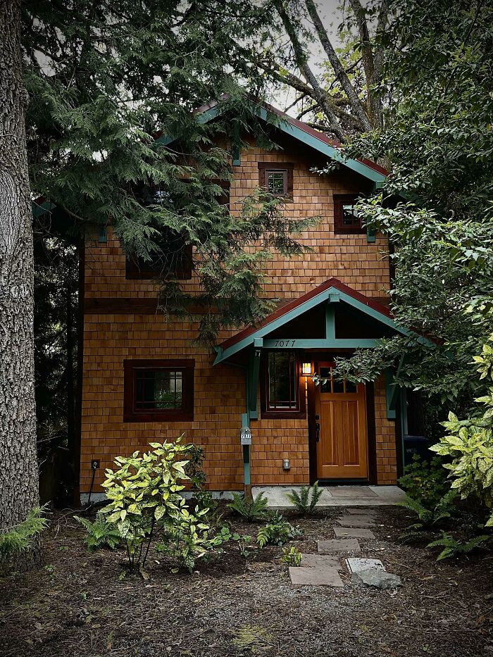 Quiet House Nestled Between The Trees In Portland, Oregon