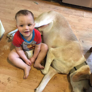 dianabarton_1 avatar