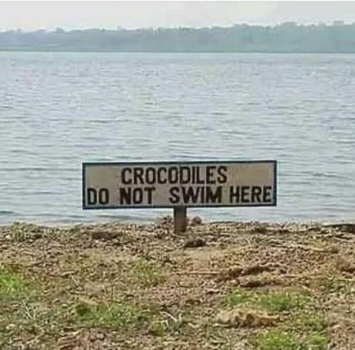 Oh Well, Great, Then Let's Have A Splash!