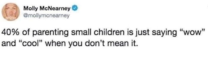 Funny-Sarcastic-Parenting-Adulting-Memes