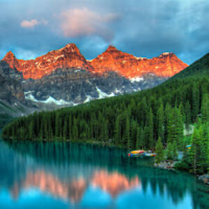 lailaandnaomi avatar