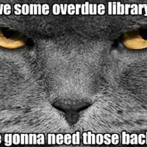 lisarussell_2 avatar