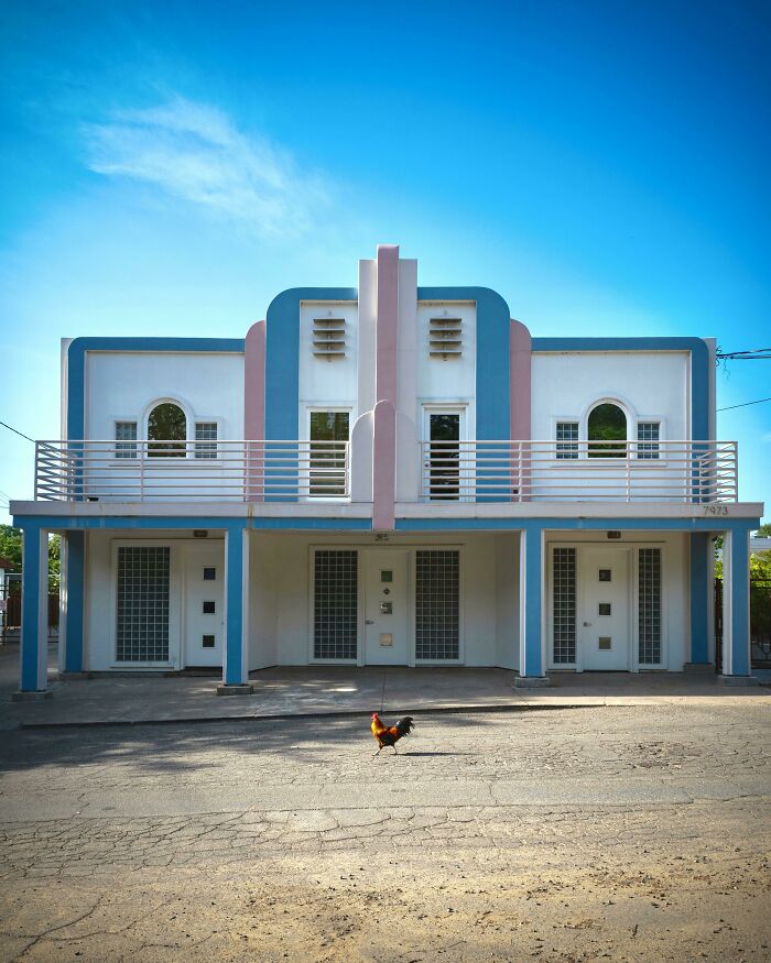 The Chicken Really Did It For Me