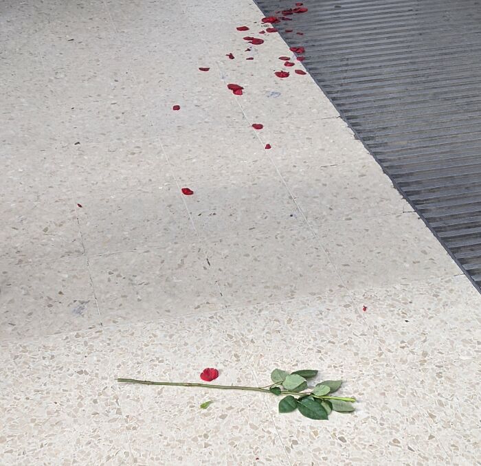 Someone's Valentine's Day Didn't Go To Plan At London Victoria