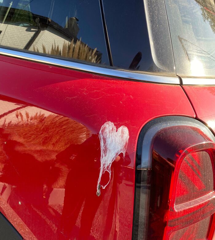 Valentine’s Day Gift On My Mom’s Car