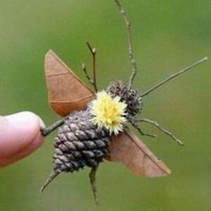 babasmurf1965 avatar