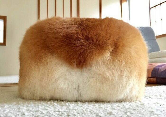 Bread Loaf