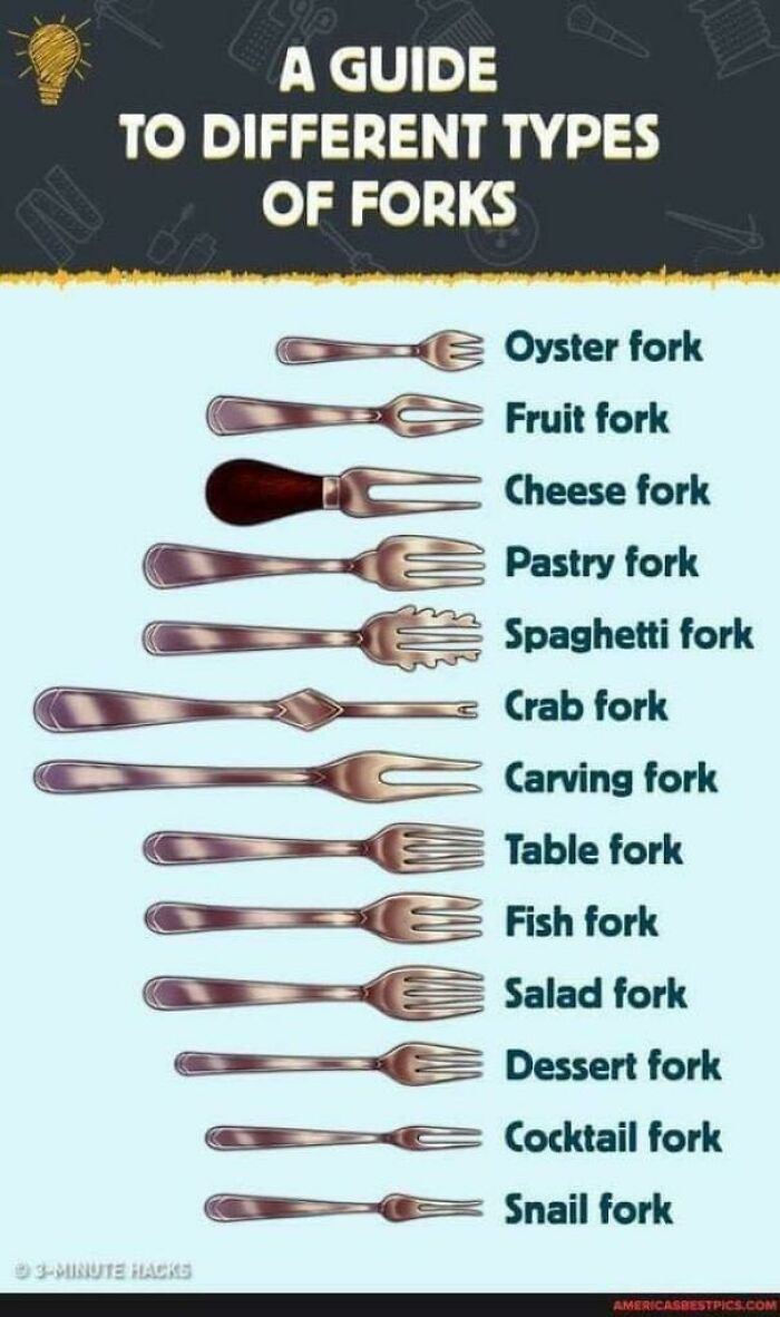 Infographic showing different types of forks including oyster, fruit, cheese, pastry, spaghetti, and carving forks.