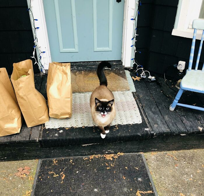 The Only Type Of Customer I Like Meeting Me At The Door