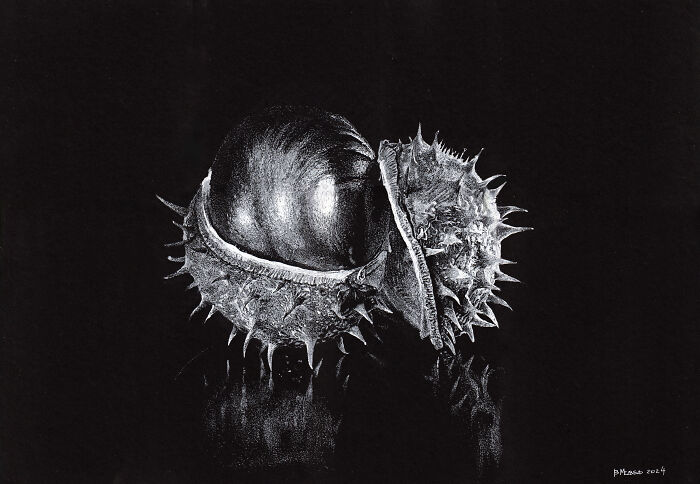 White On Black (14 Pics)