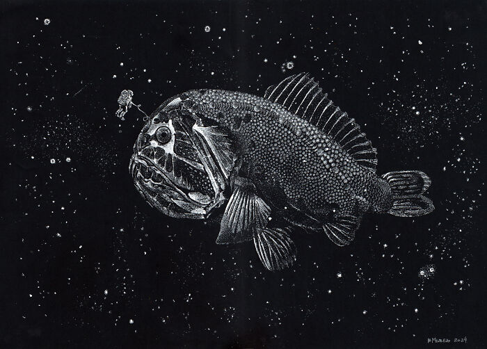 White On Black (14 Pics)