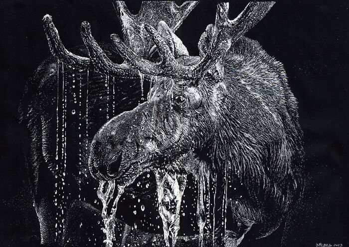 White On Black (14 Pics)