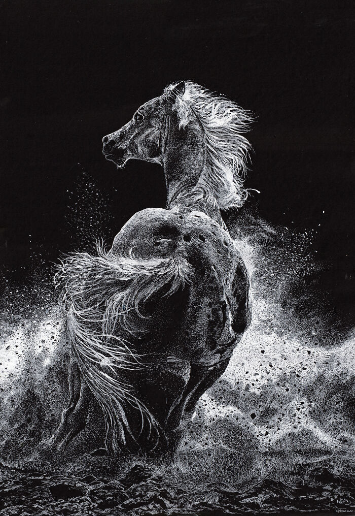 White On Black (14 Pics)