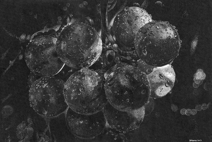 White On Black (14 Pics)