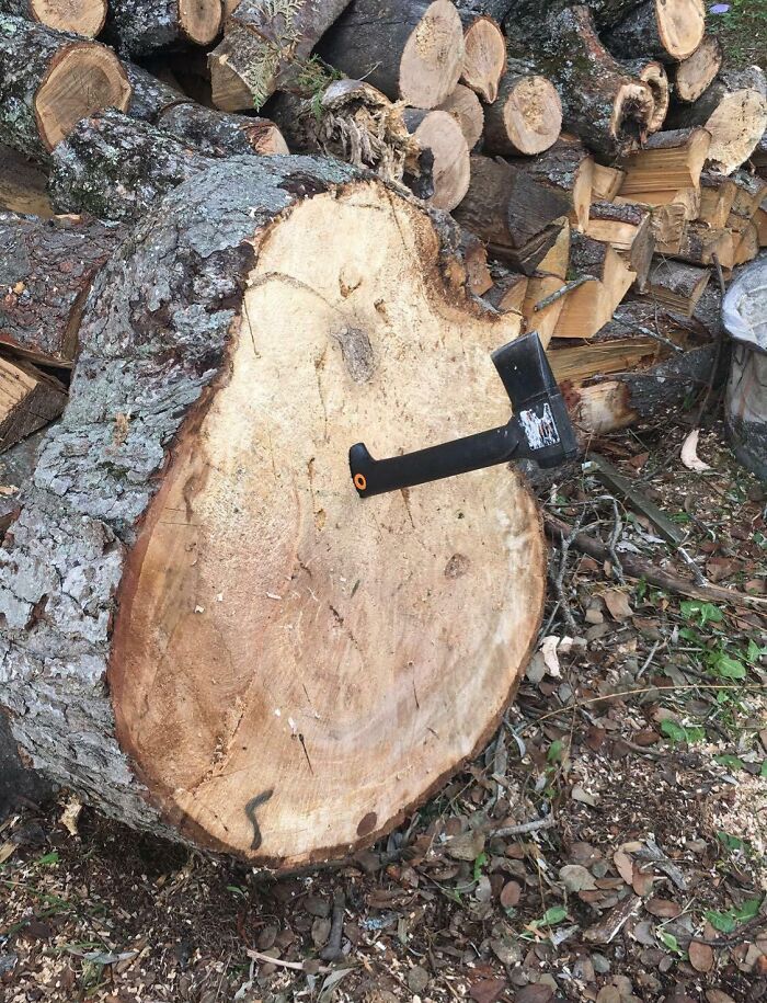 Went Axe Throwing In Our Yard And Yeah…