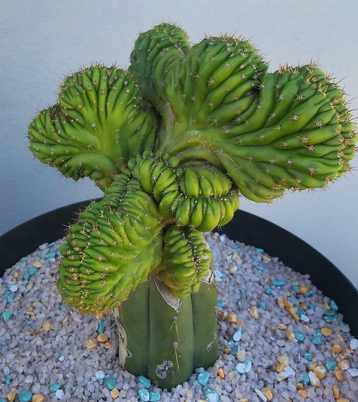 Just Doing Its Thing