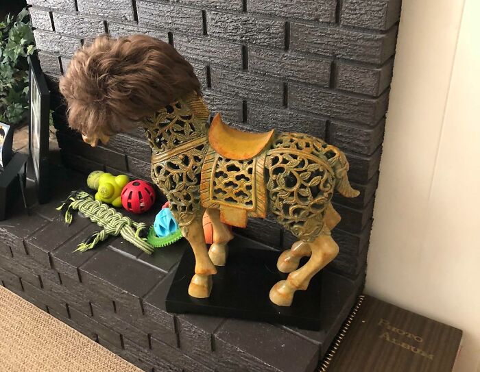 My Grandmother Wears A Wig. When She Comes Home She Takes It Off And Puts It On This Horse