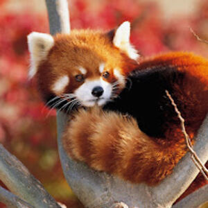 katrinabennett_1 avatar