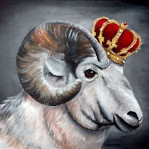 kingsheep_1 avatar