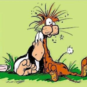 tropicaltarot avatar