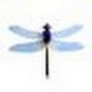 kirstenkohlhauff avatar