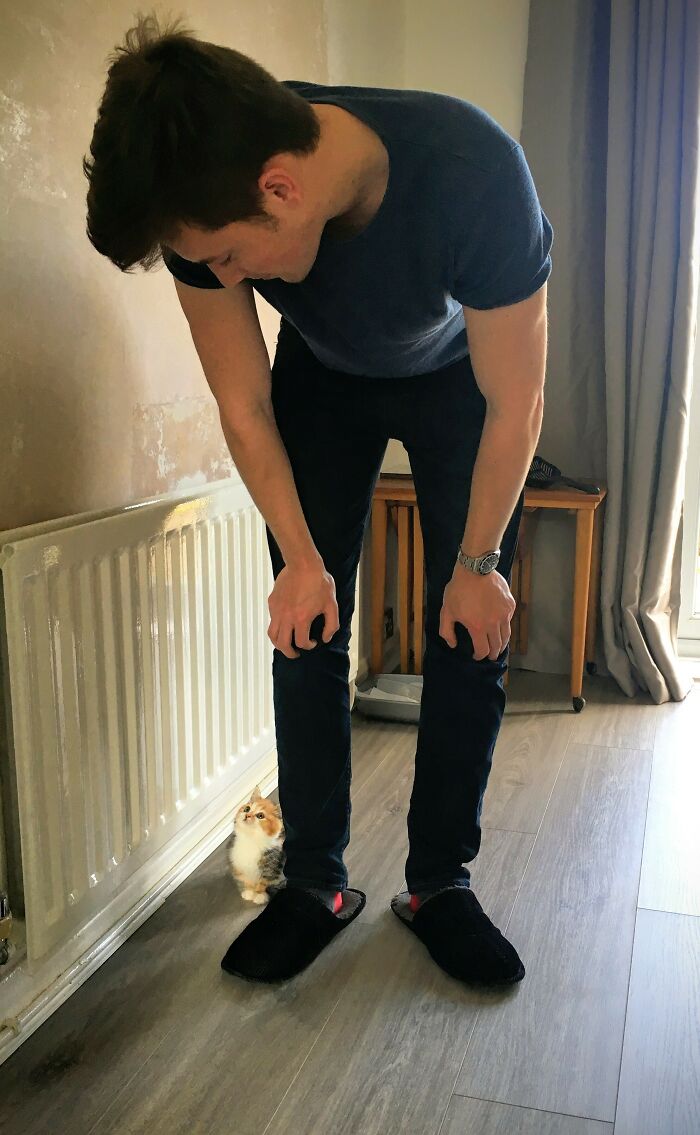 A mi marido sus padres nunca le dejaron tener mascota. Nos hemos comprado nuestra primera casa y...