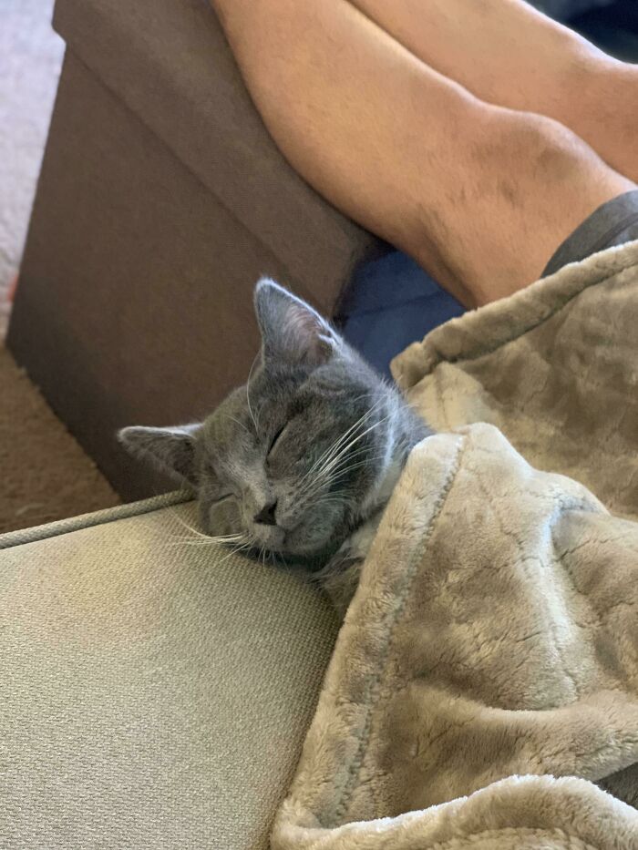 Nos dijeron que en las primeras semanas sería tímido y estaría nervioso. Esto es a los 30 minutos de llegar a casa