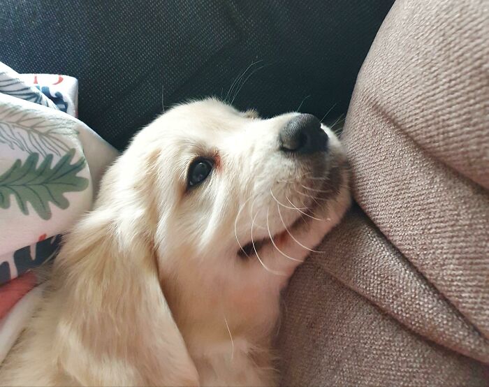 Lia On Day 1, Looking At My Husband. Already So Much Love!