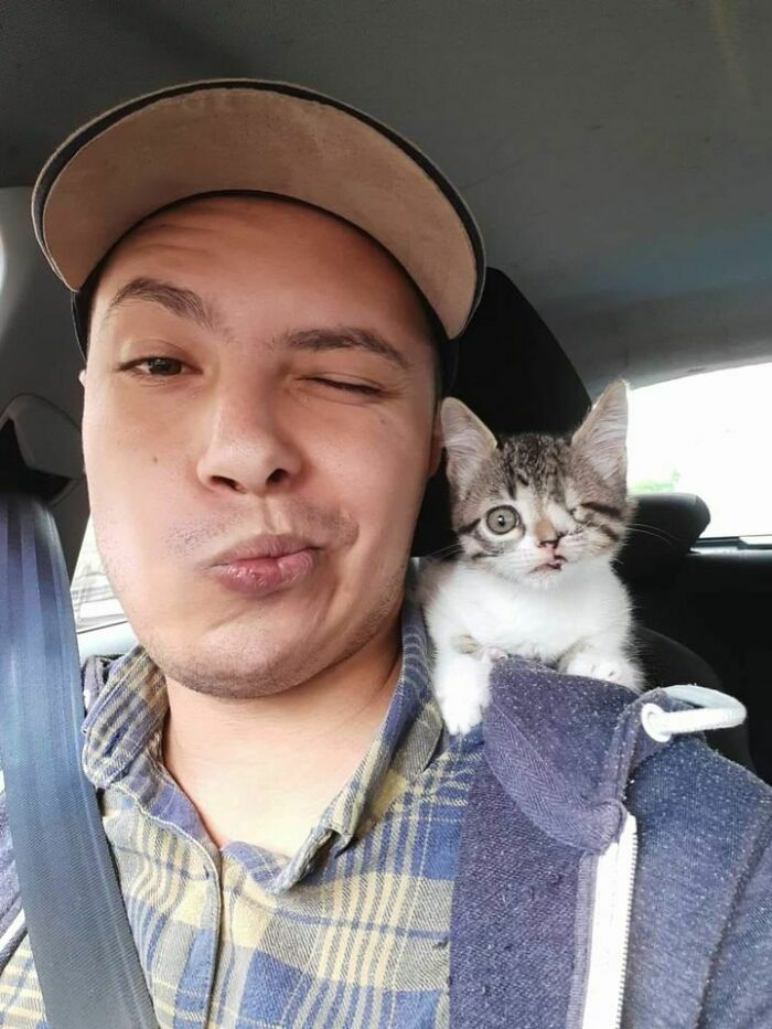 I Rarely Adopt (I Always Rescue Then Adopt Lol) But This Little Cutie That Was Born With A Facial Birth Defect Stole My Heart The Second I Saw Her Adoption Post On Reddit. Please Say Hi To My New Adopted Kitten, Nala! ❤❤❤