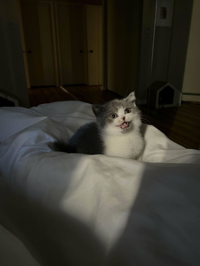 I Just Got Jim And He Is Ridiculously Small