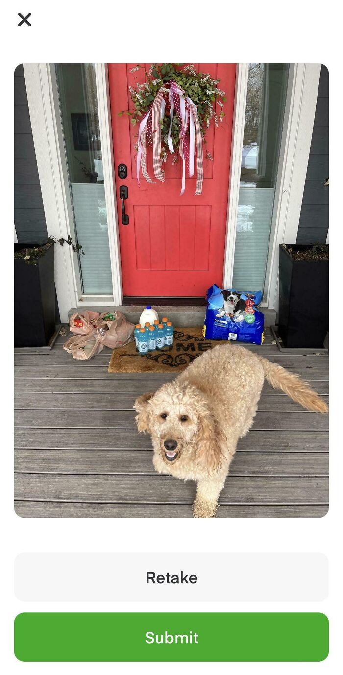 This Dog Wouldn’t Let Me Stage The Items Lol