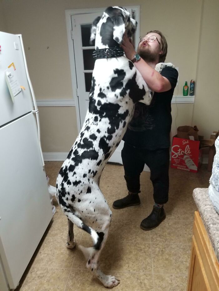 Mirad a quién he conocido hoy