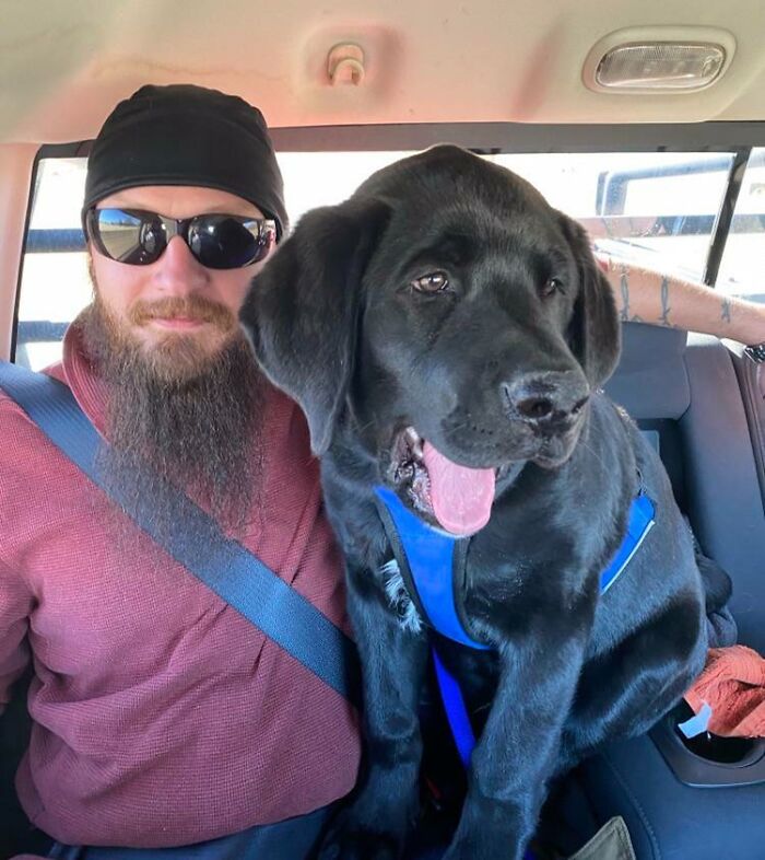 My Fully-Grown, Adult Stepbrother Sitting Next To My Mom’s 3-Month-Old Labrador/Mastiff "Puppy"