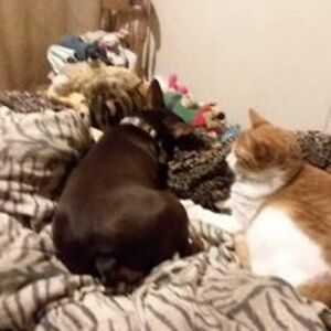 barbarahiggs217 avatar