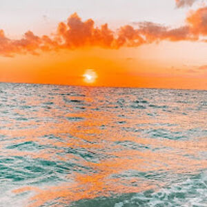 brooklynlanter avatar