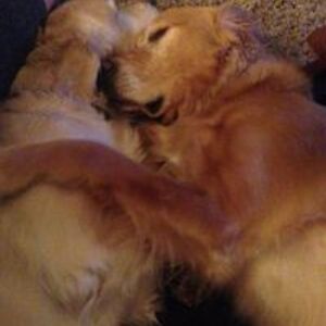 fiona_aitch_1 avatar