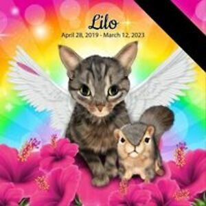 twosamsproductions avatar