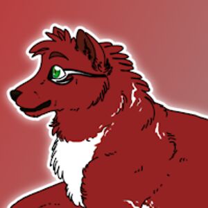 wolfkinghuttser avatar