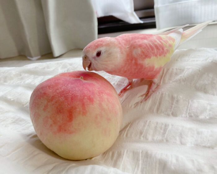 "Brother, What's Wrong With You?"