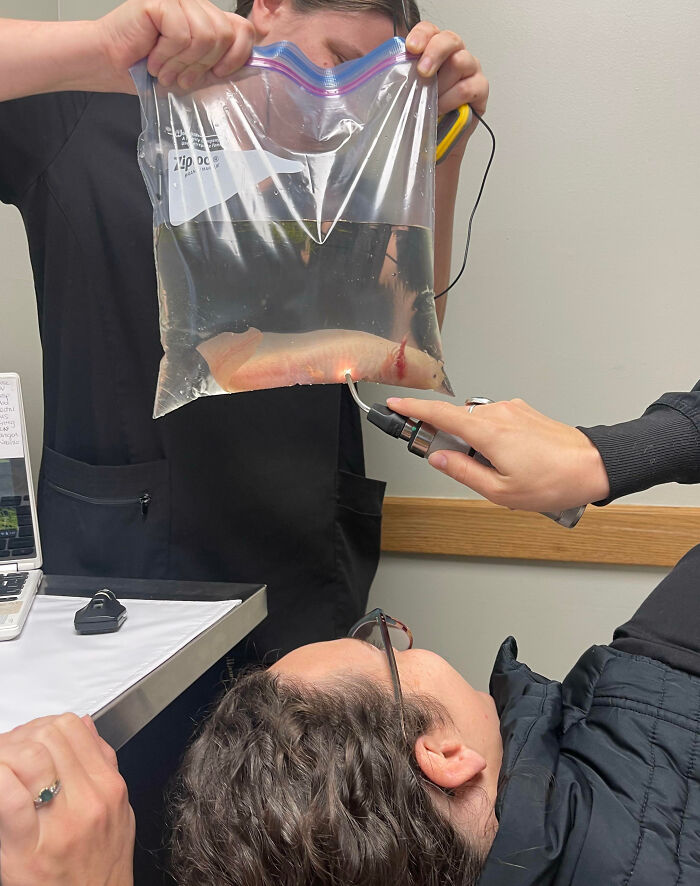 Forbidden Chicken Breast