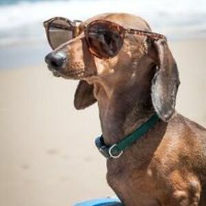 amanda_moore_1 avatar